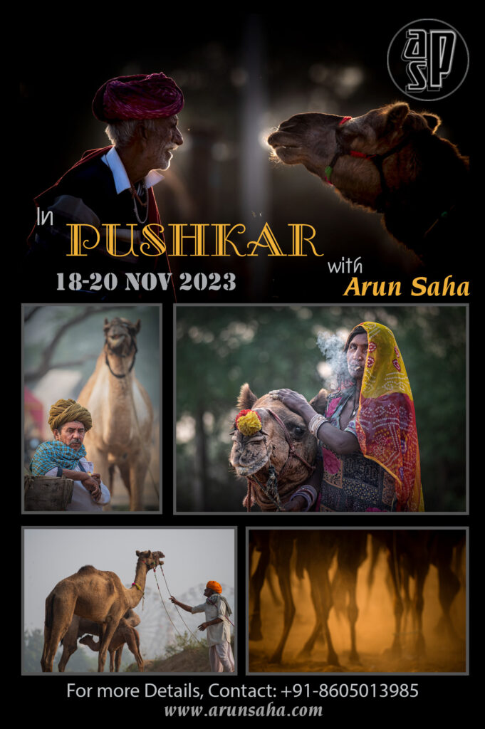 Pushkar Camel Fair 2023 Photo Tour